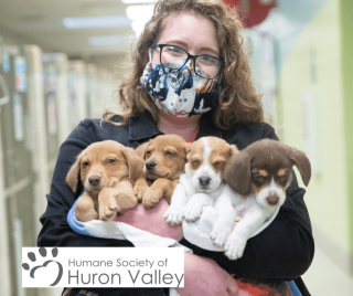 Humane Society of Huron Valley - Votes: 137
